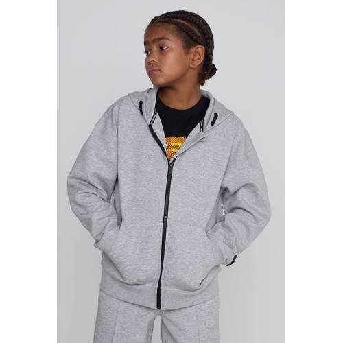 Coolcat Unisex Vest Charly met Capuchon Grijs afbeelding