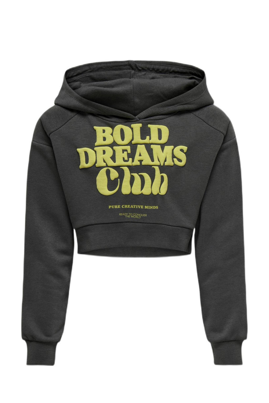 Grijze meisjes KIDS ONLY GIRL hoodie van sweat materiaal met printopdruk, lange mouwen en capuchon