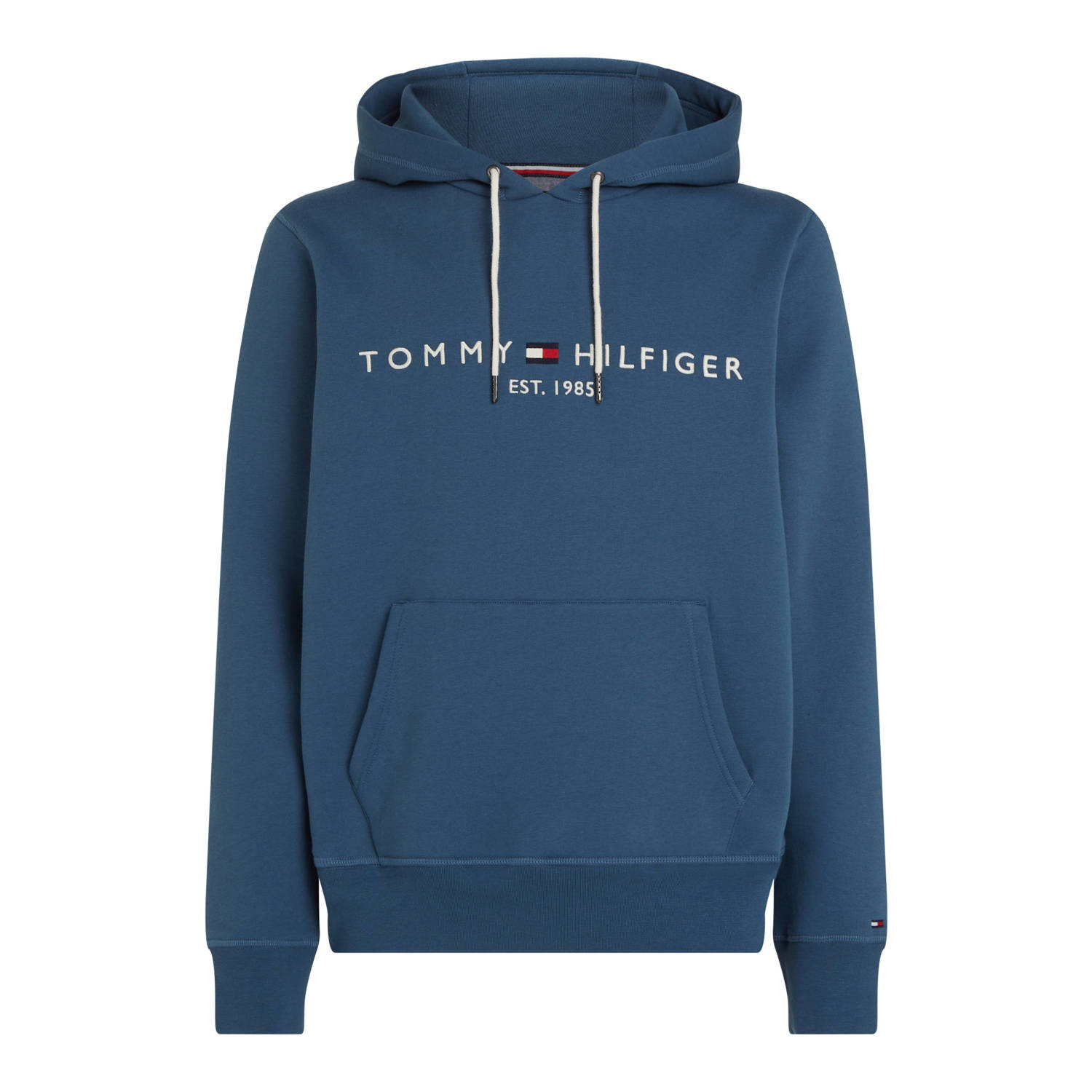 Tommy Hilfiger hoodie met printopdruk aegean sea