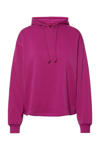 Festival Fuchsia