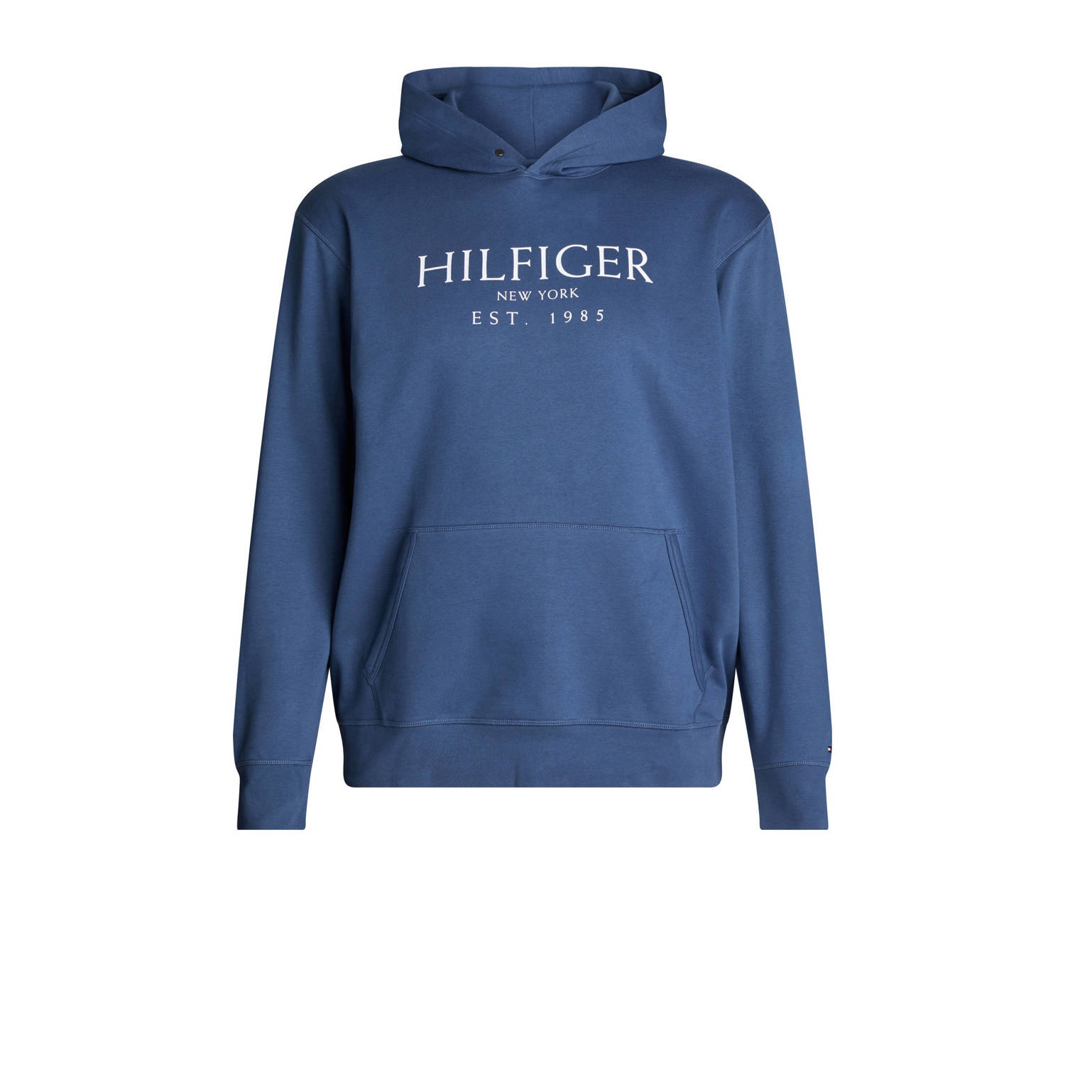 Tommy Hilfiger Hoodie BT-BIG HILFIGER HOODY-B in grote maten met logo-borduursel op de mouw
