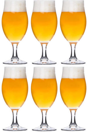Bierglazen Executive - 260 ml - 6 stuks