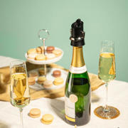 thumbnail: Vacu Vin Champagne Stopper en Schenker - Zwart