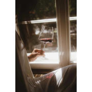 thumbnail: Riedel Wijnglazen Set Winewings - Carbernet, Pinot Noir, Sauvignon Blanc & Chardonnay - 4 stuks