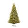 Black Box Trees verlichte kerstboom Atmore (h230xø142 cm)