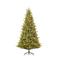 Black Box Trees verlichte kerstboom Atmore (h215xø126 cm)