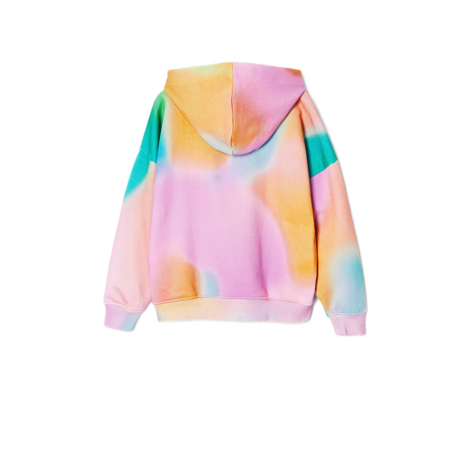 Desigual hoodie multi