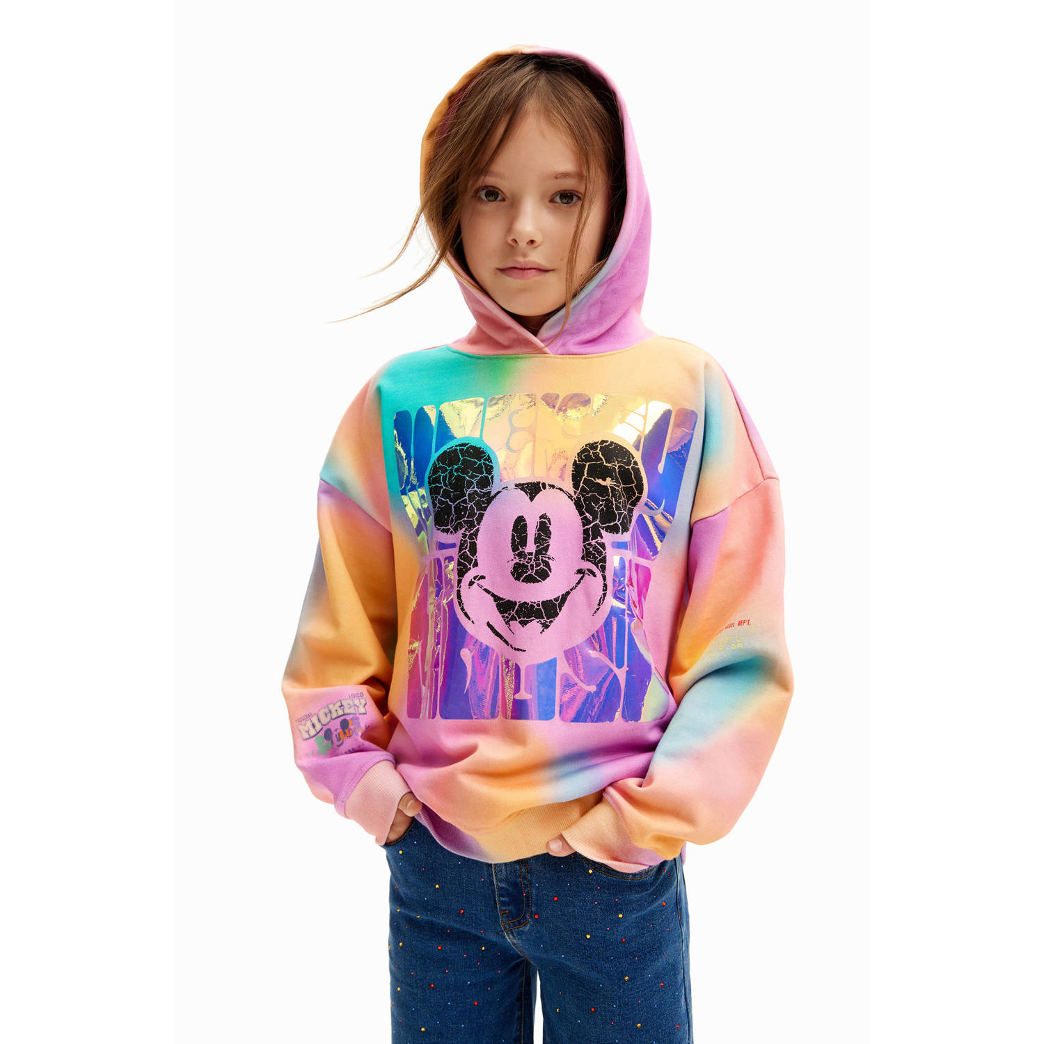 Desigual hoodie multi
