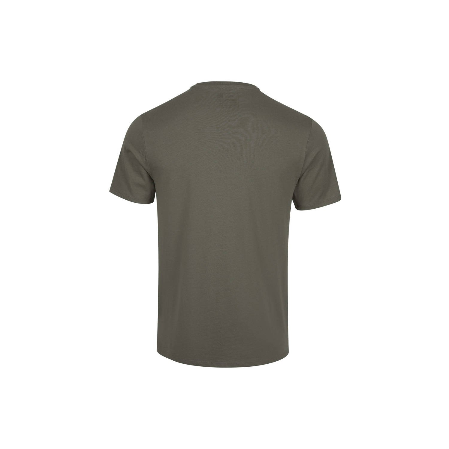 O'Neill regular fit T-shirt met printopdruk groen