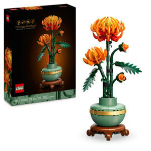Chrysant Bouwpakket voor Volwassenen 10368