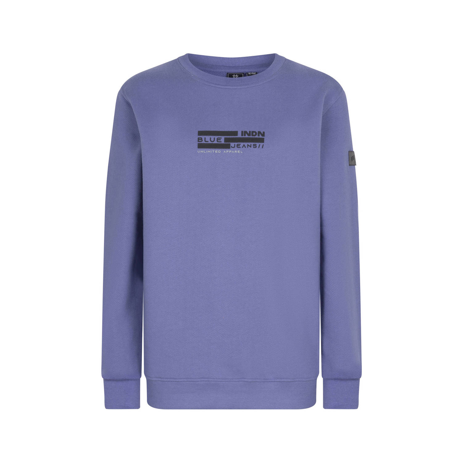 INDIAN BLUE JEANS Jongens Truien & Vesten Organic Sweater Indian Paars
