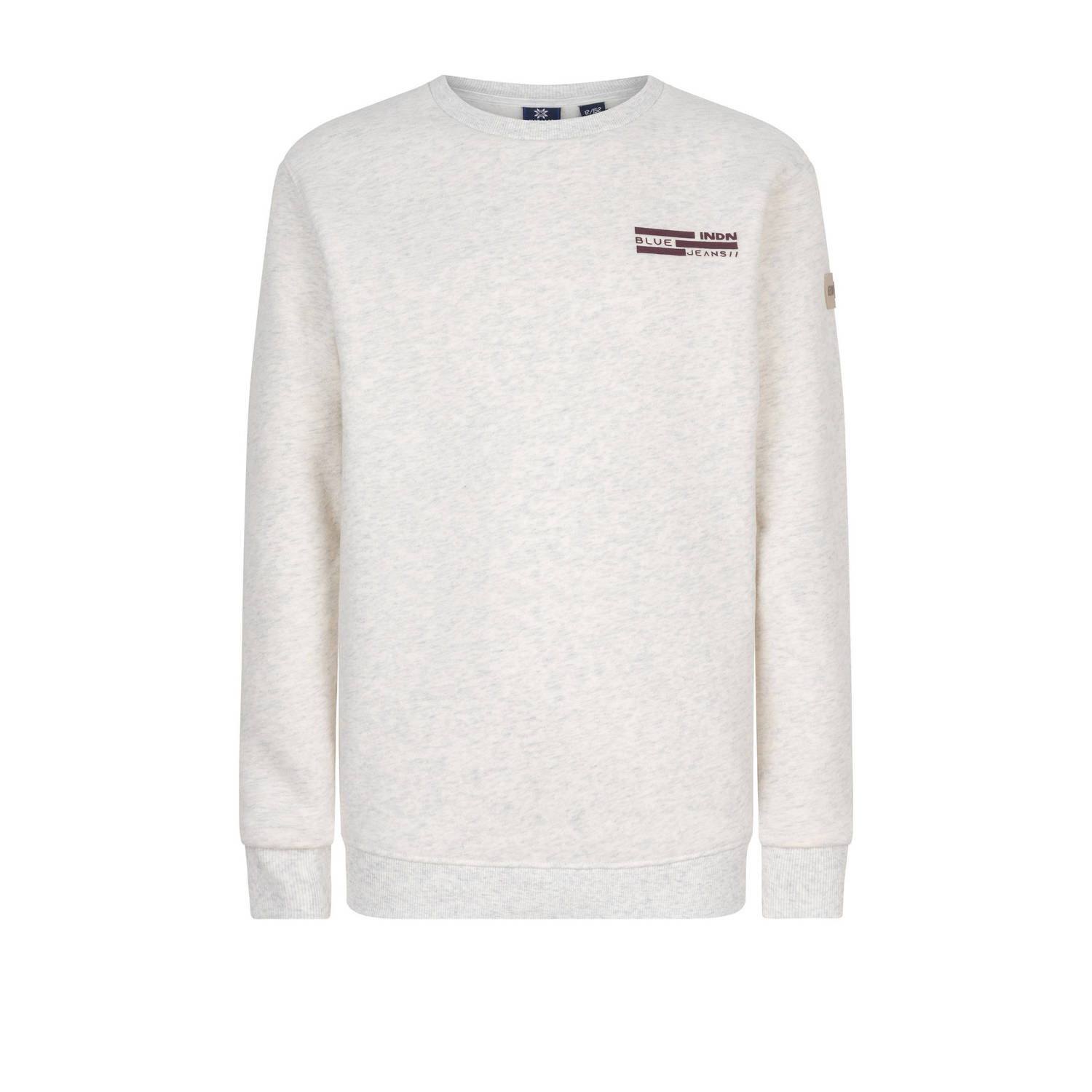 INDIAN BLUE JEANS Jongens Truien & Vesten Sweater Backprint Beige