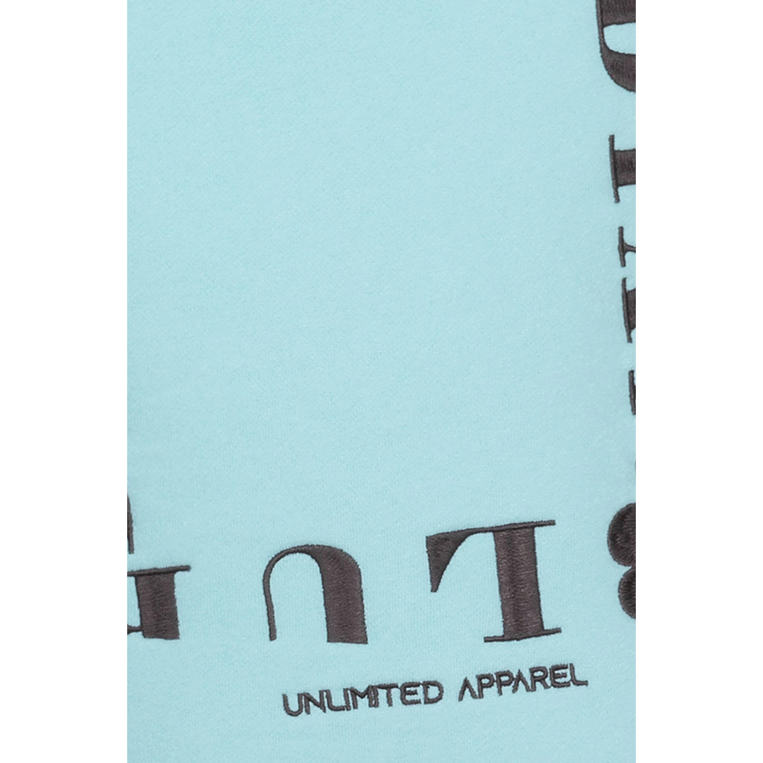 Indian Blue Jeans hoodie met backprint lichtblauw