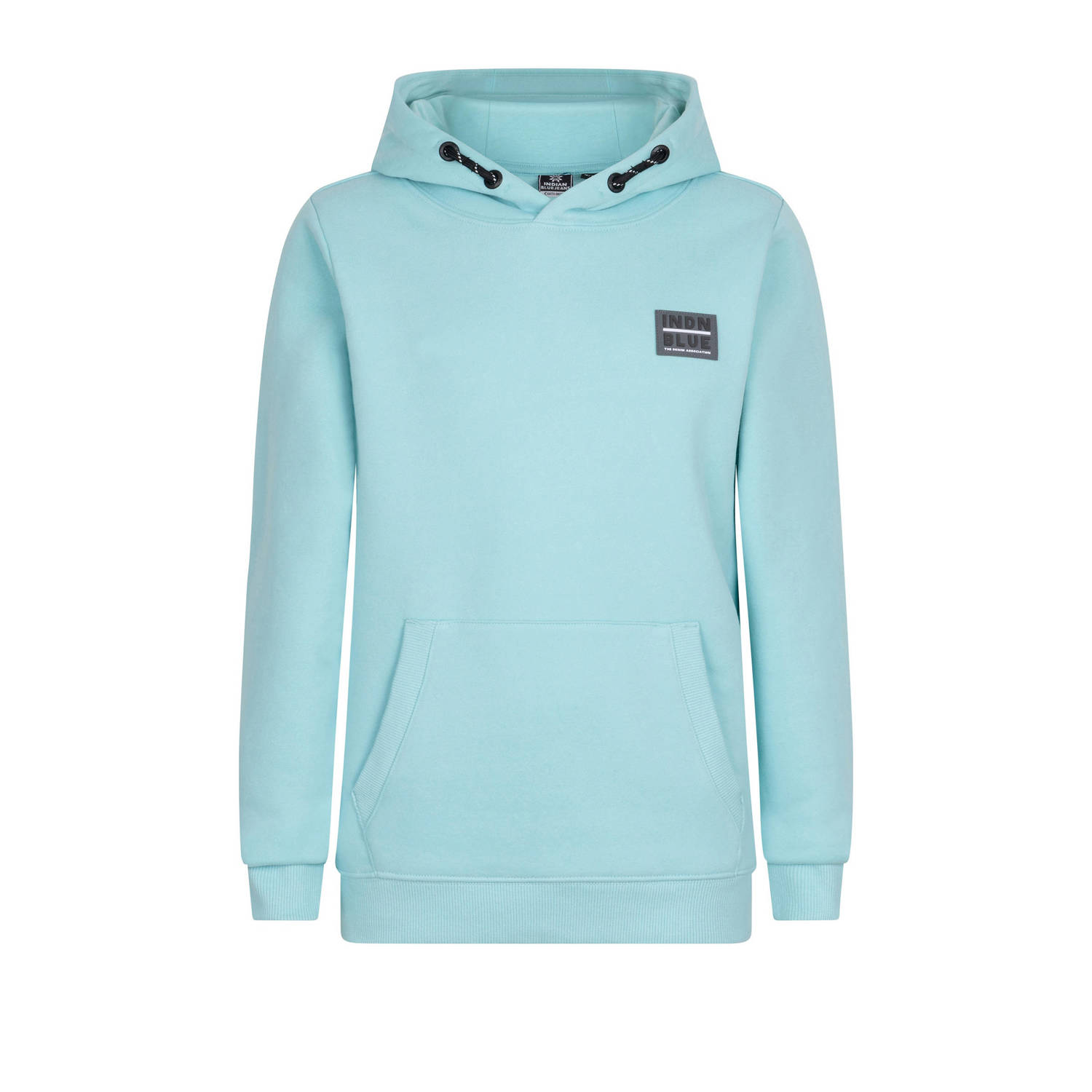 INDIAN BLUE JEANS Jongens Truien & Vesten Hoodie Indian Brushed Groen
