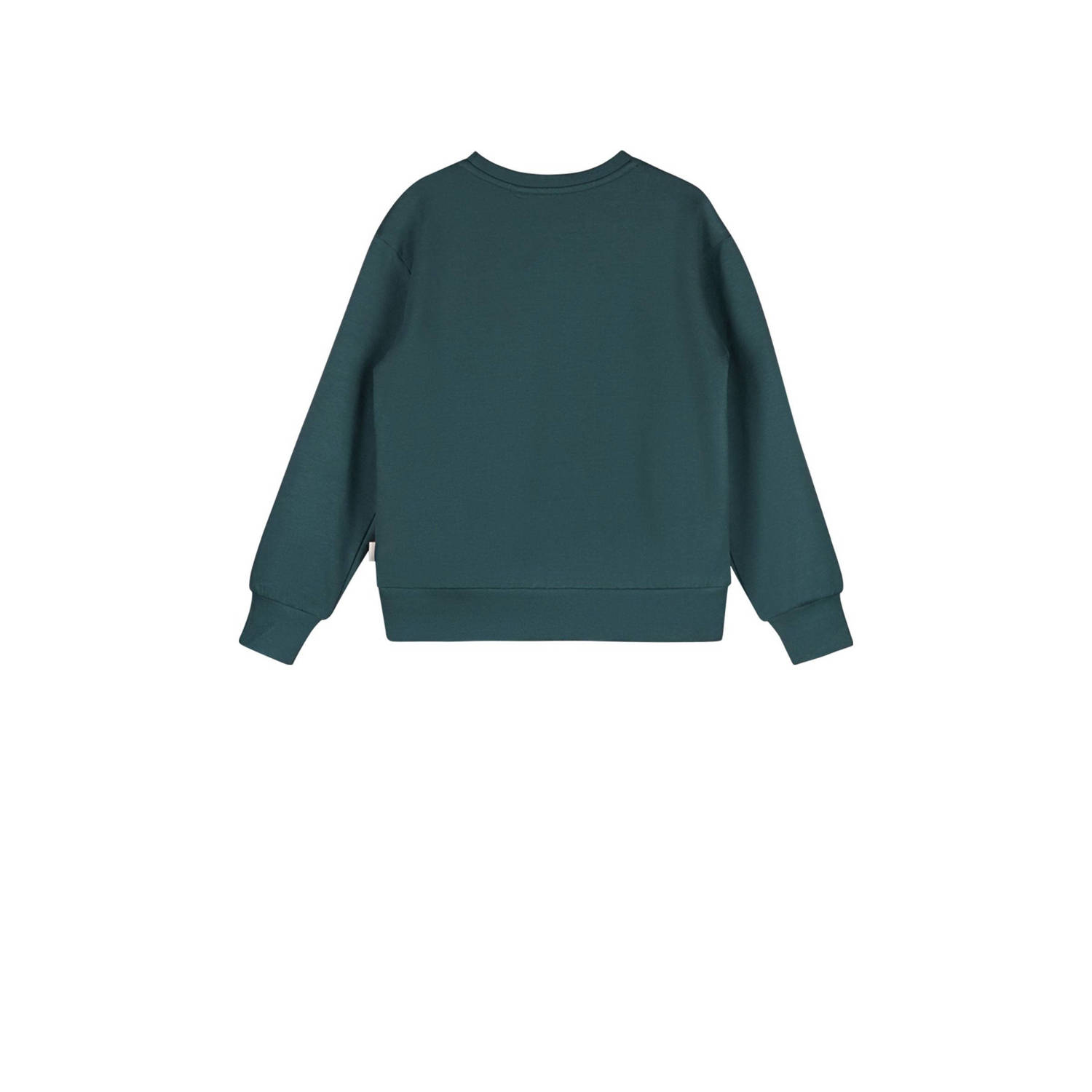 Moodstreet sweater Sofie met printopdruk donkergroen