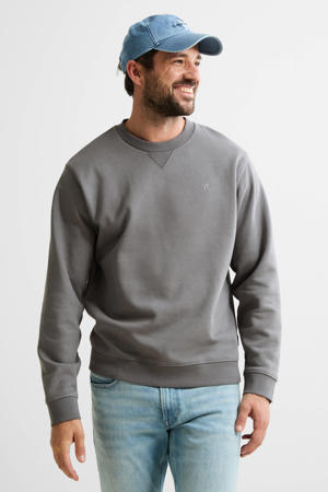 sweater grijs