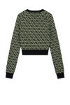Groen/zwart
