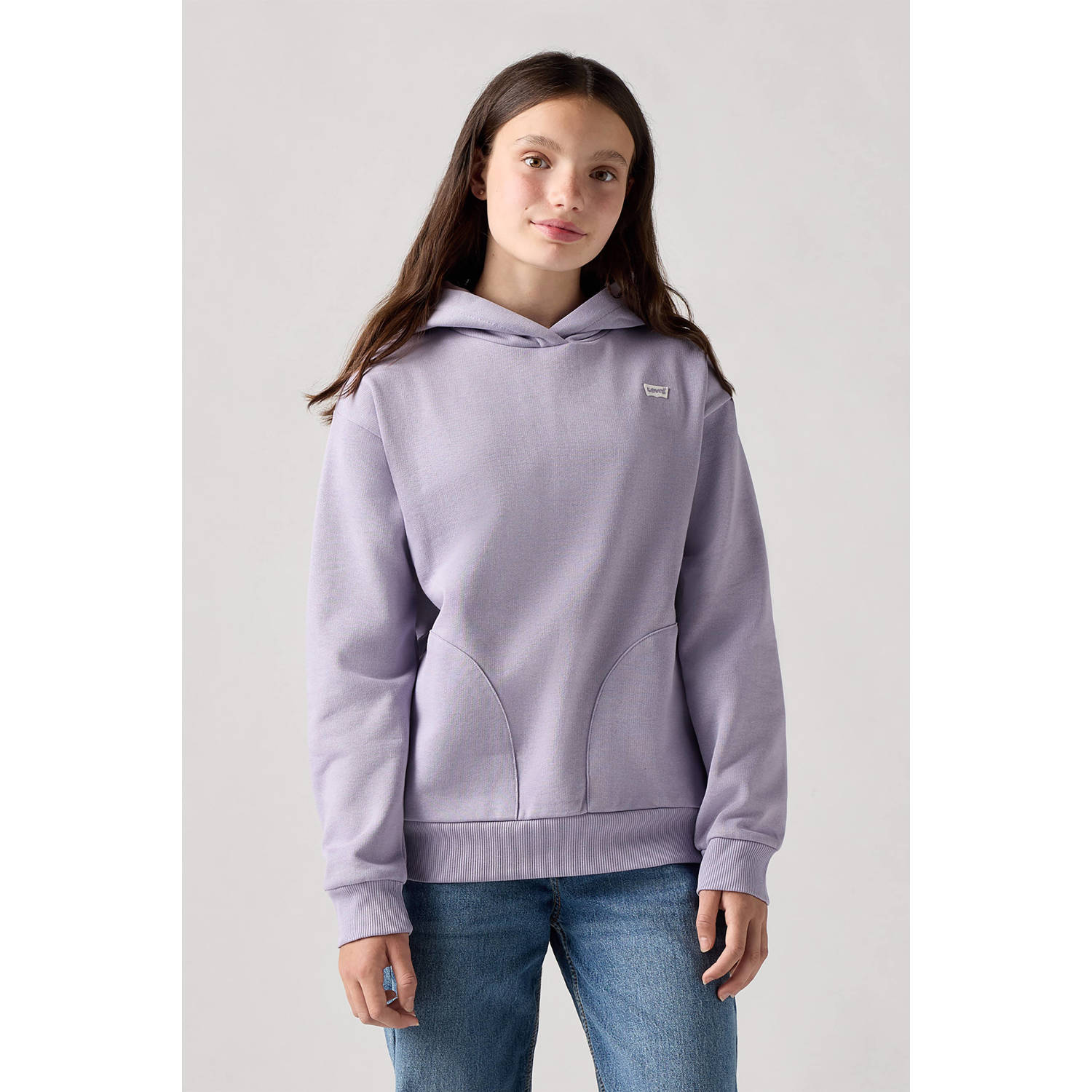 Levi's Sweater Levis LVG-BATWING CHEST HIT HOODIE
