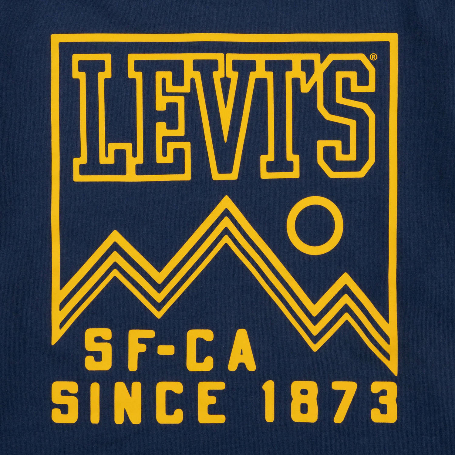 Levi's Kids longsleeve HIGH PEAKS met backprint donkerblauw