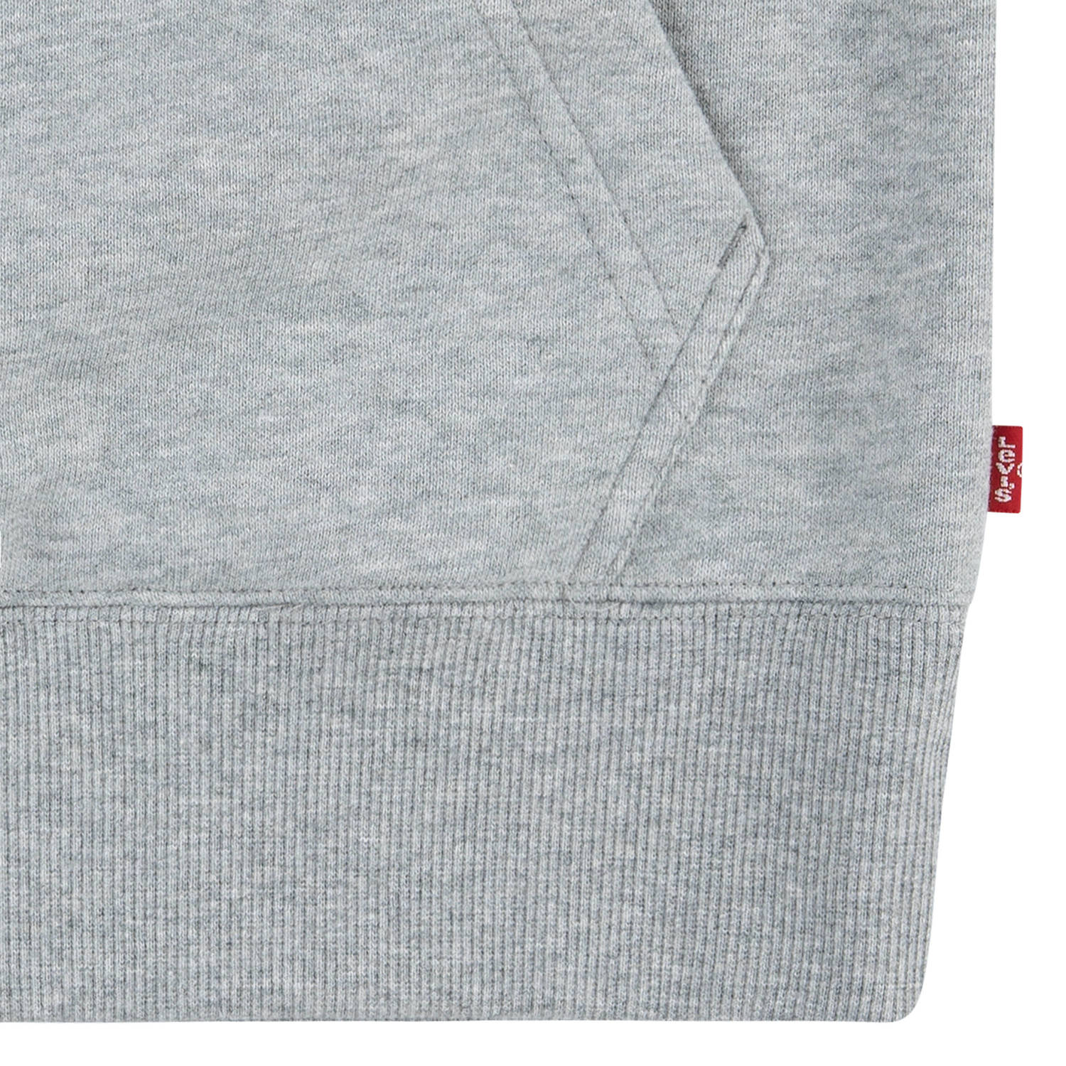 Levi's Kids hoodie MONOGRAM met printopdruk en borduursels grijs melange