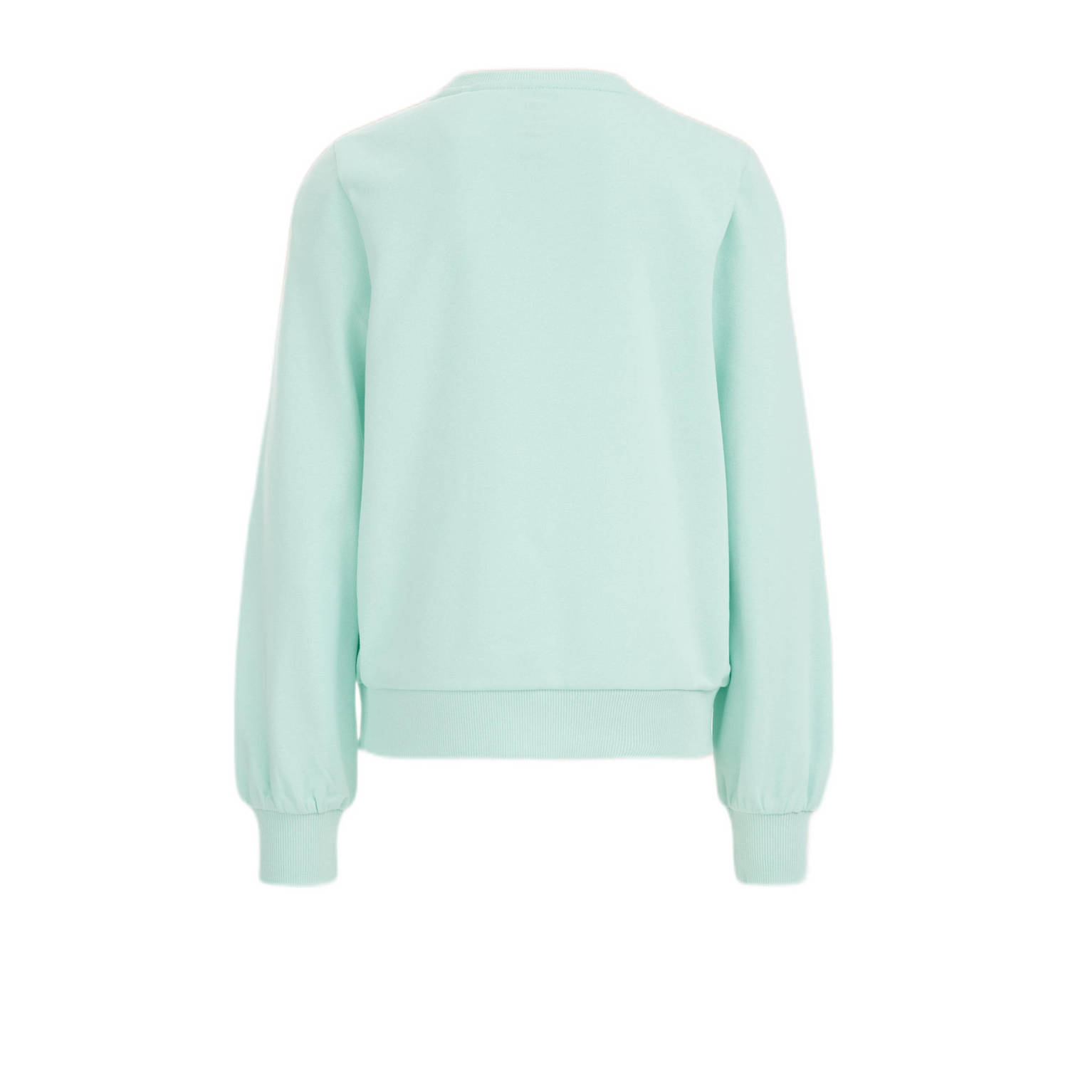 WE Fashion sweater mintgroen