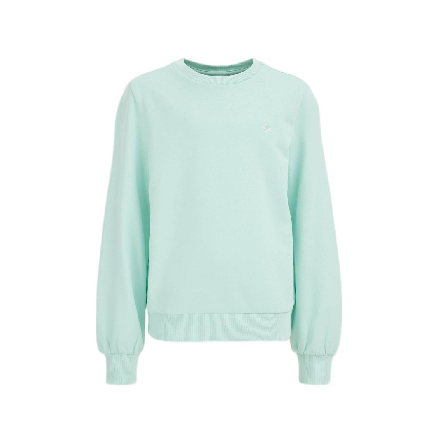 WE Fashion sweater mintgroen Effen 110 116 | Sweater van