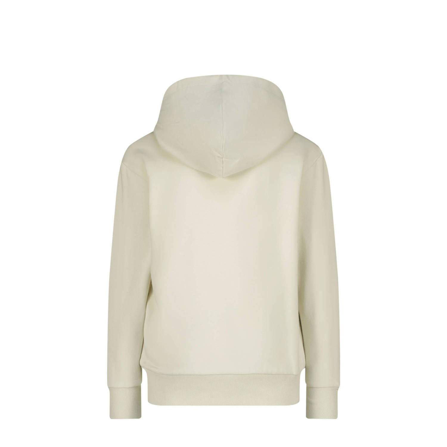 Raizzed hoodie Valencia met printopdruk offwhite