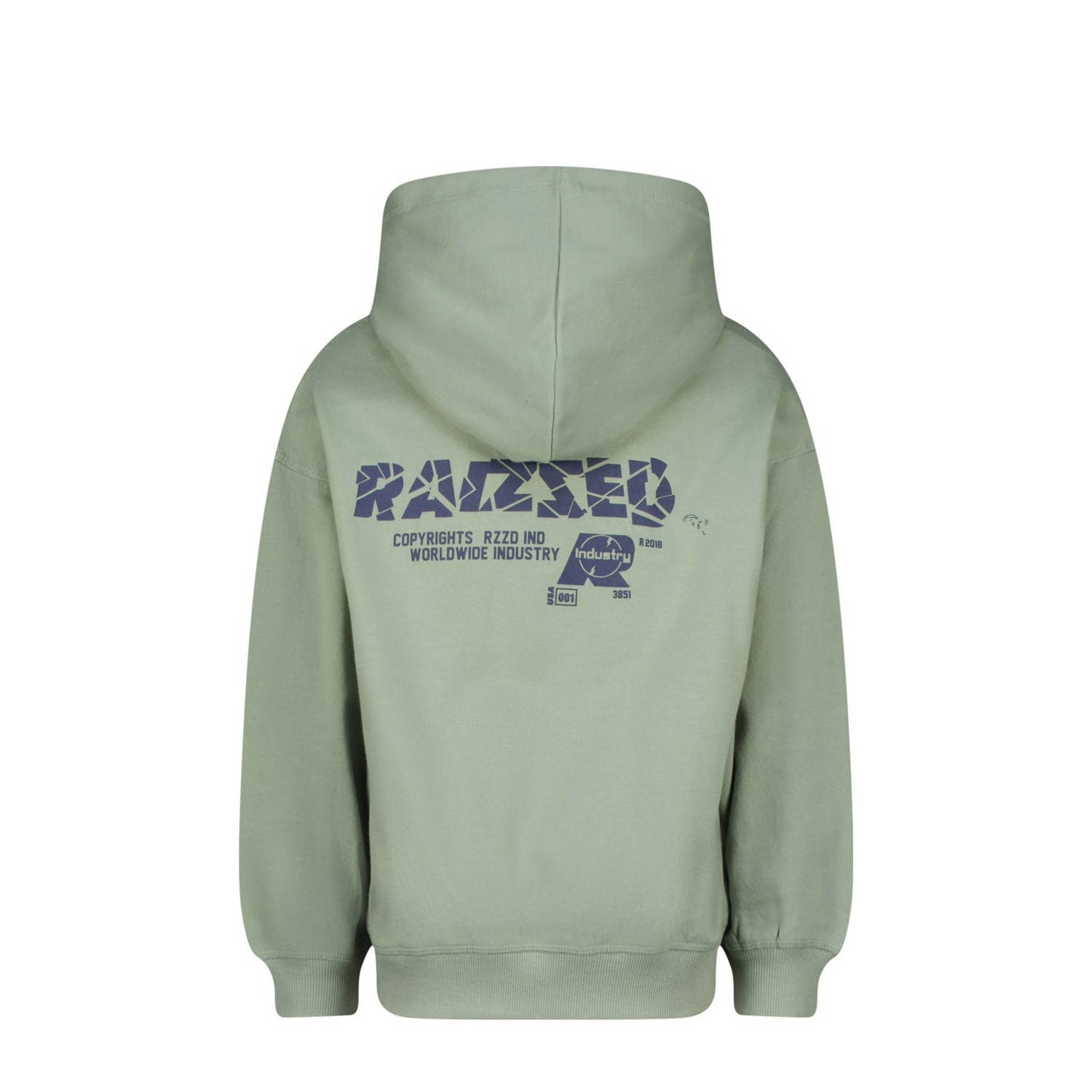 Raizzed hoodie Austin met backprint zachtgroen