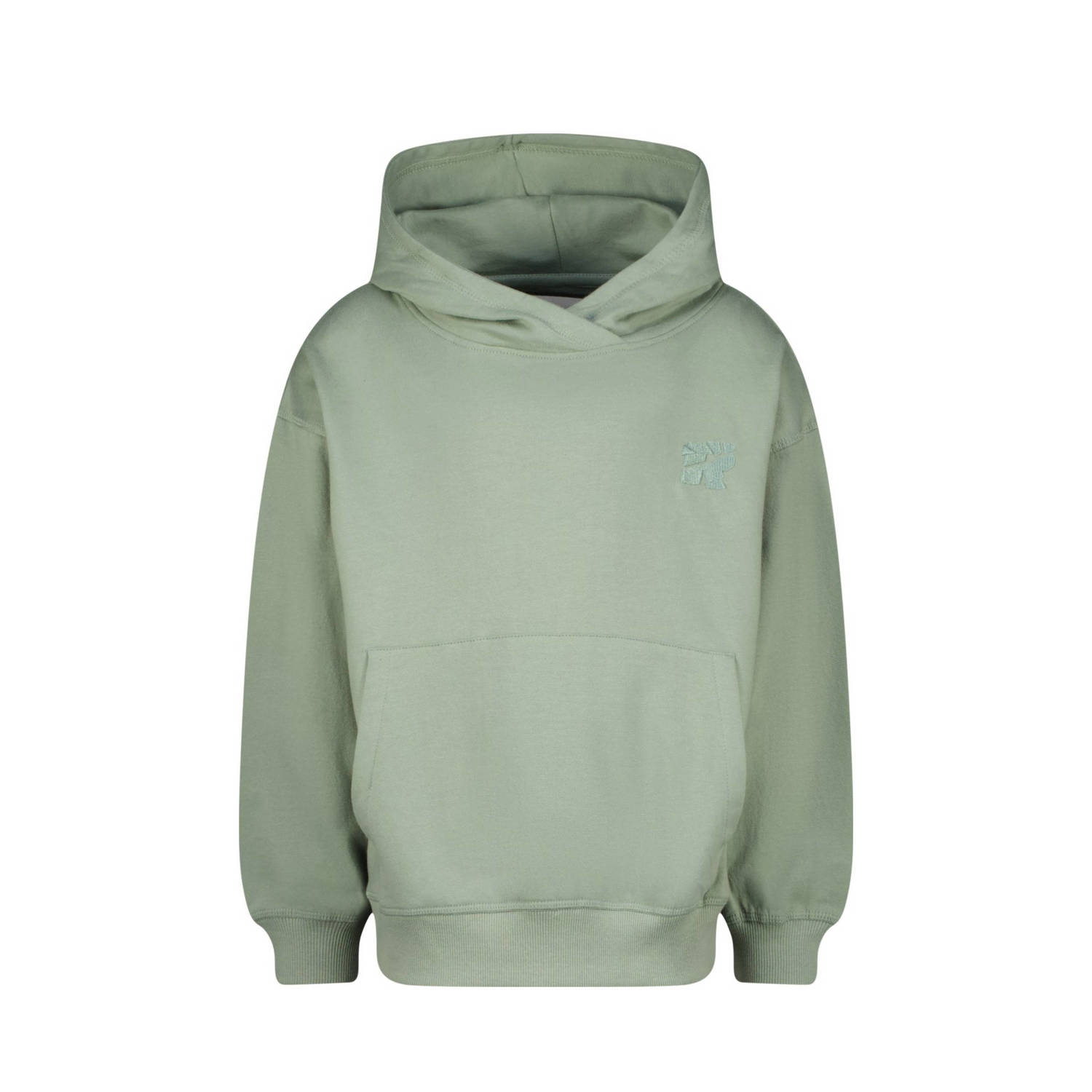 Raizzed hoodie Austin met backprint zachtgroen