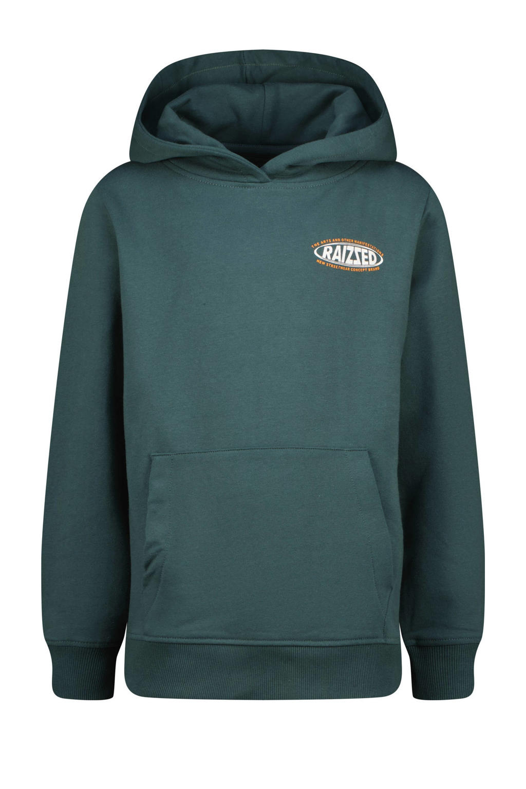KIDDO hoodie Arif met printopdruk groen KIDDO hoodie Arif met printopdruk groen