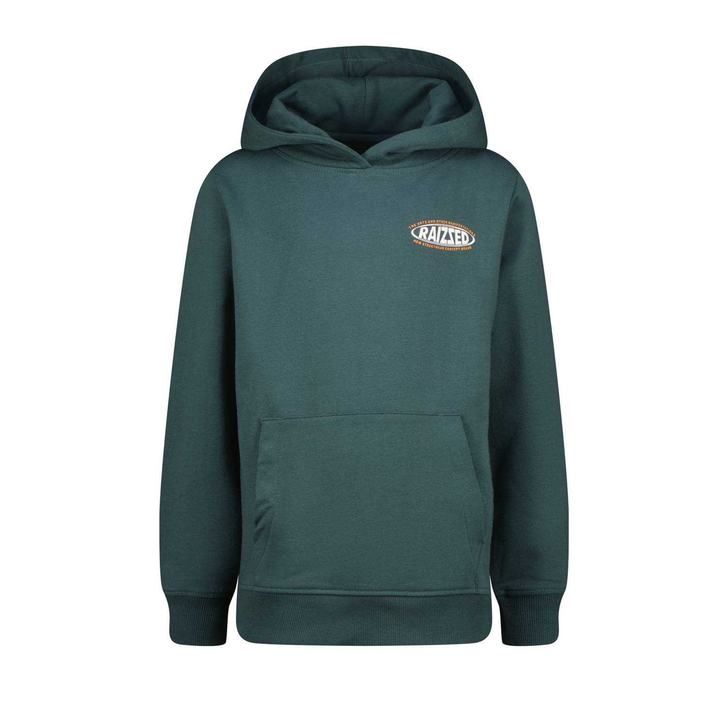 Raizzed hoodie Nice met backprint donkergroen