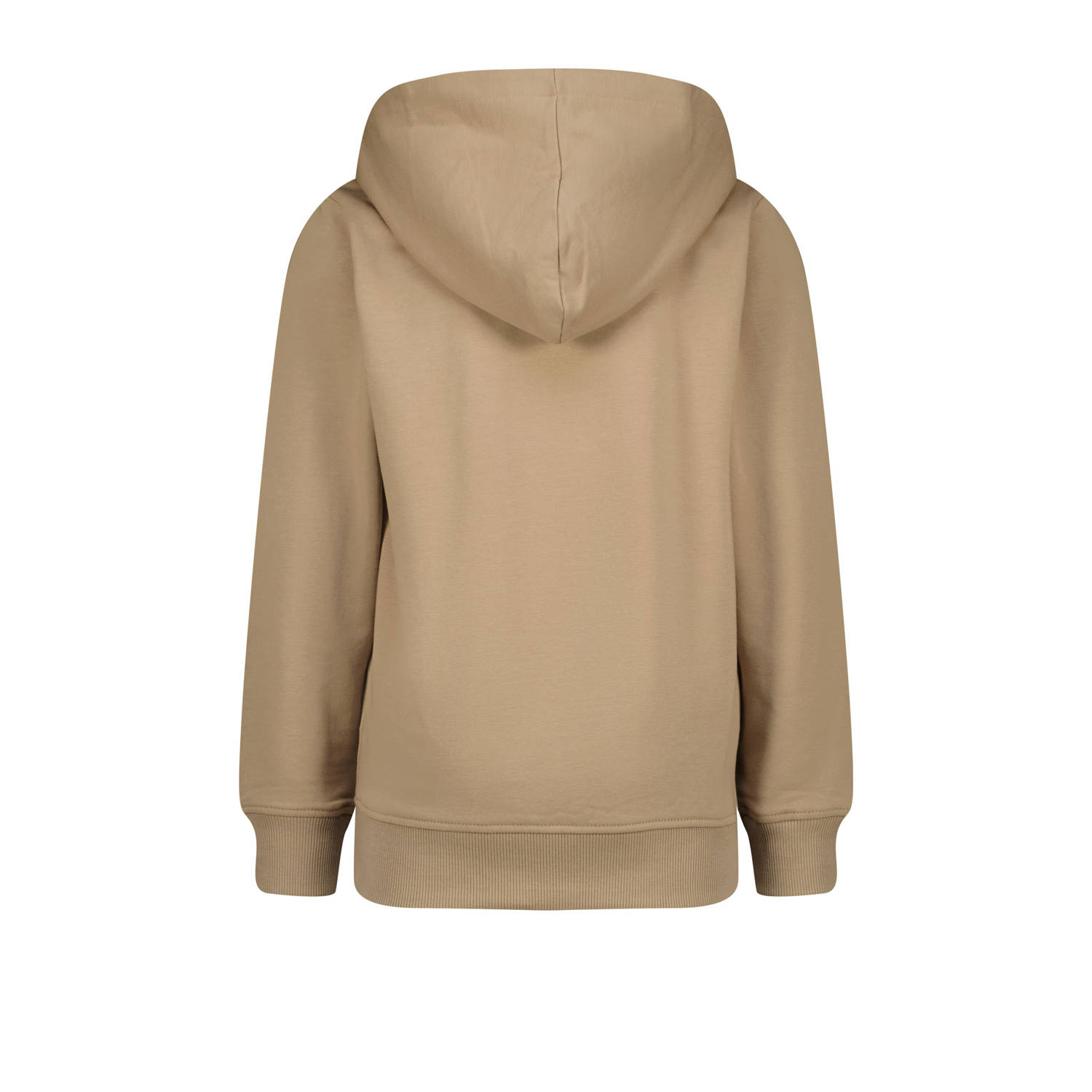 Raizzed hoodie Neor met logo lichtbruin