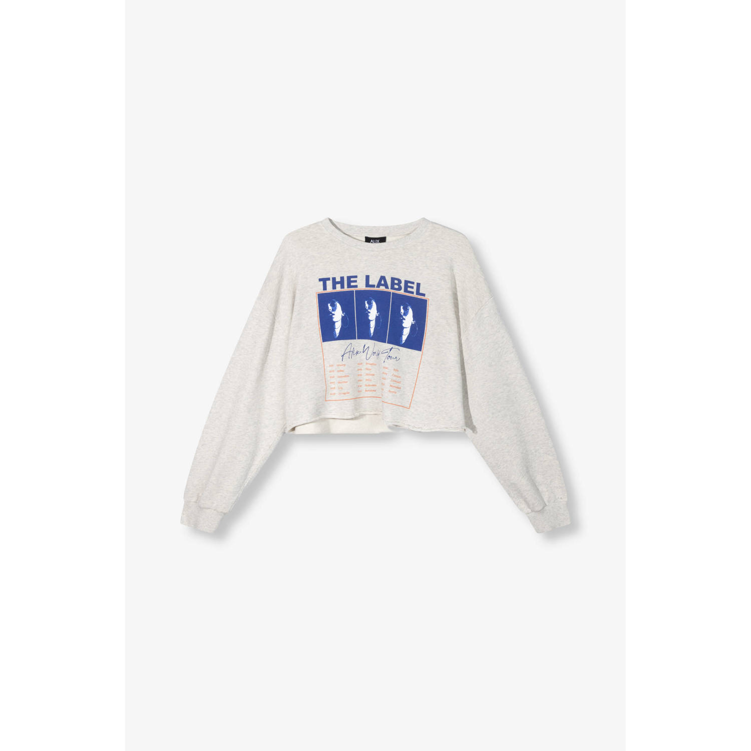 ALIX THE LABEL Dames Truien & Vesten Ladies Knitted Cropped World Tour Sweater Grijs