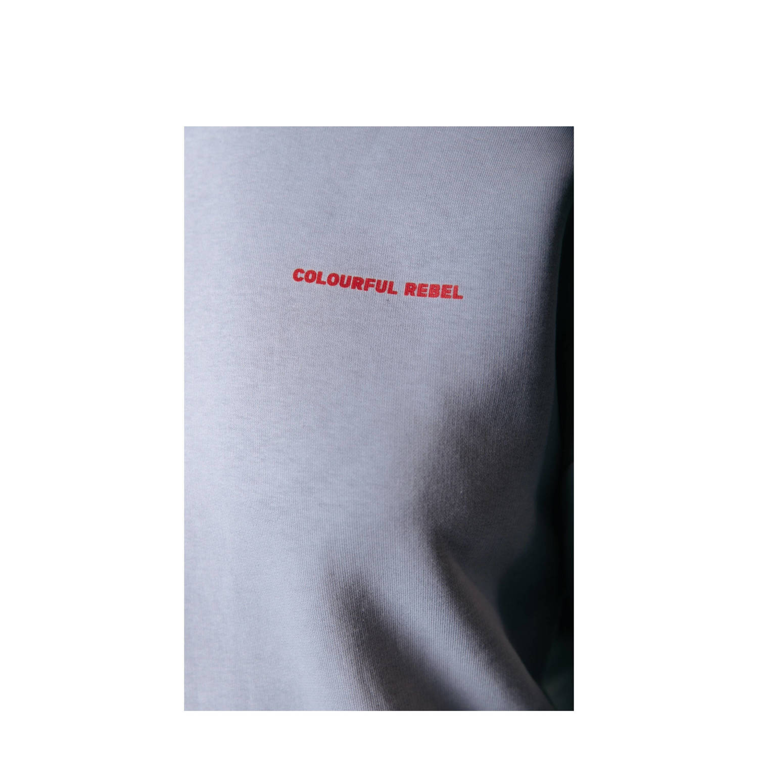 Colourful Rebel sweater grijs