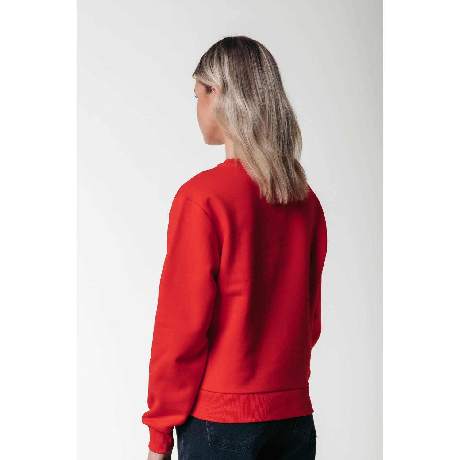 Colourful Rebel sweater rood