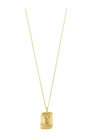 gold plated ketting Vissen sterrenbeeld