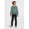 Cars sweater REVY met printopdruk zeegroen