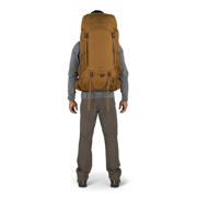 thumbnail: Osprey