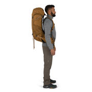 thumbnail: Osprey