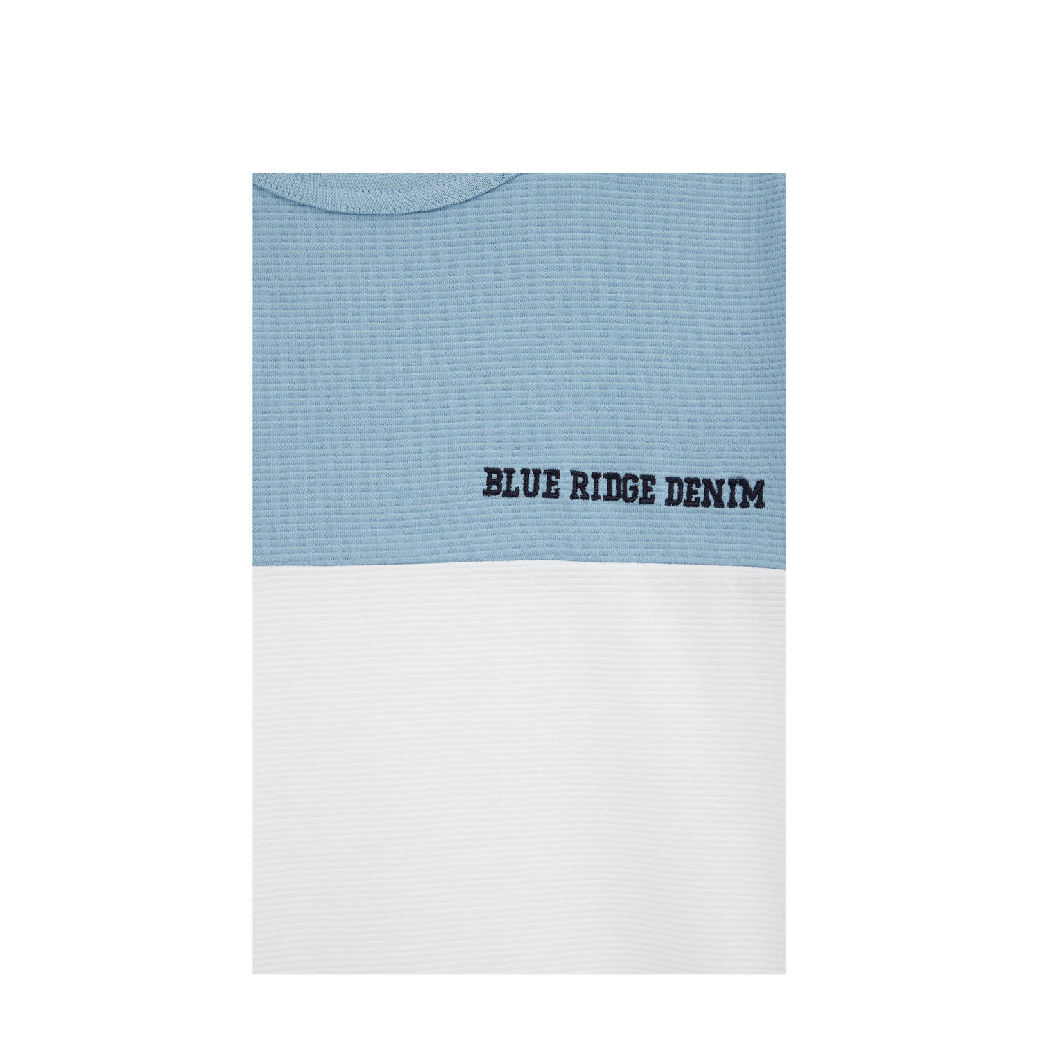 WE Fashion gestreept T-shirt blauw wit