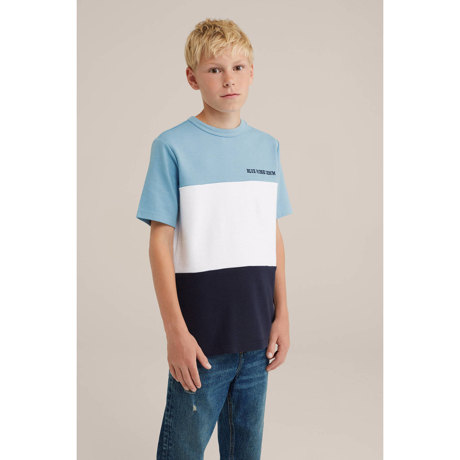 WE Fashion gestreept T-shirt blauw wit Jongens Katoen Ronde hals Streep 170 176