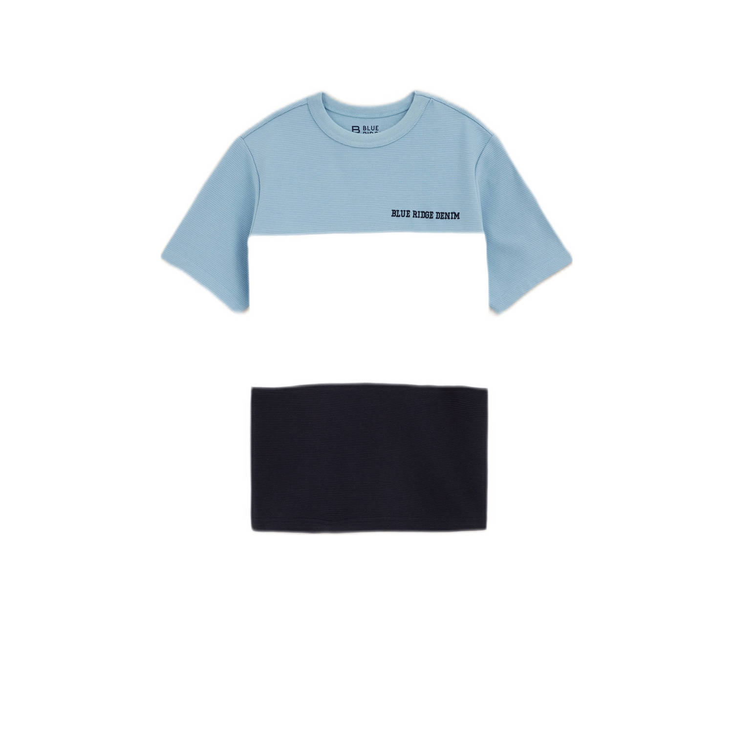 WE Fashion gestreept T-shirt blauw wit