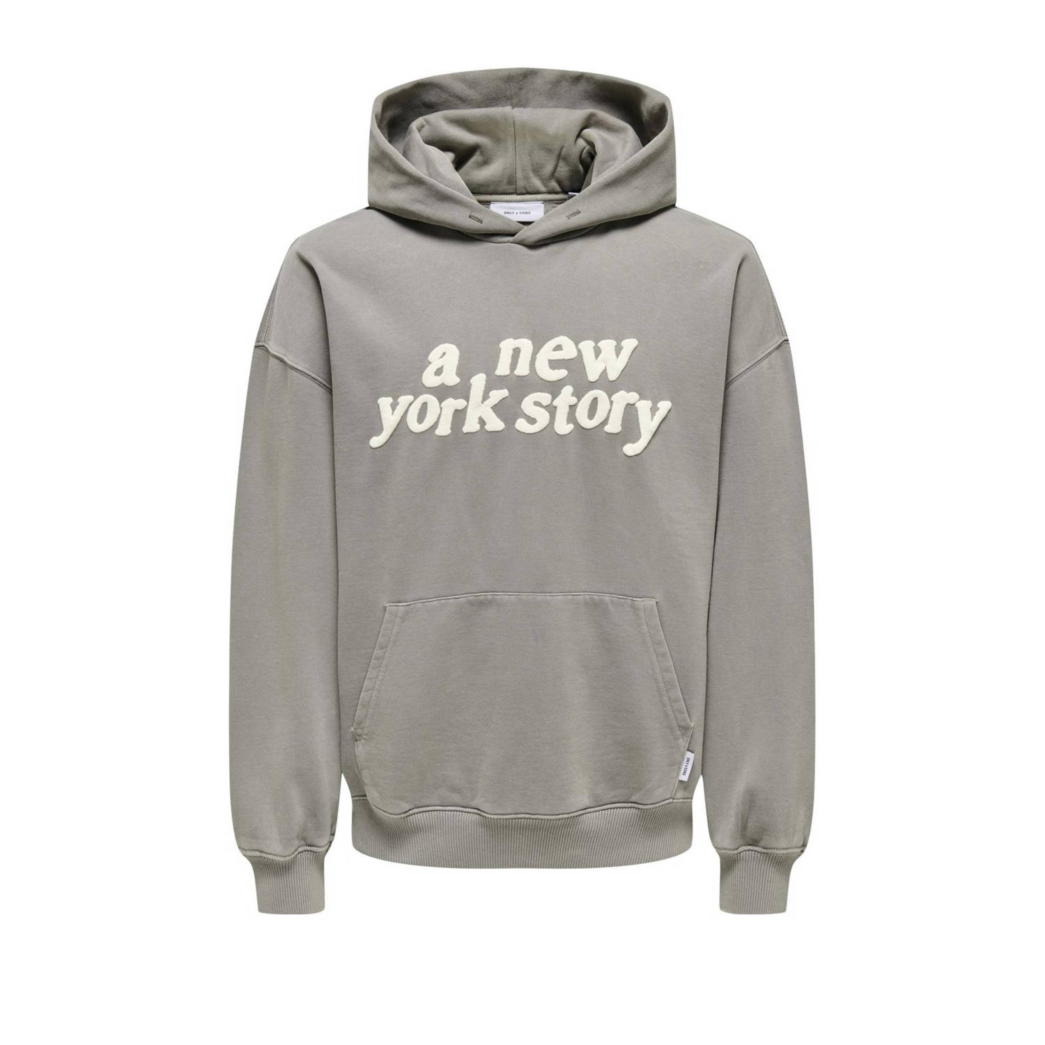 ONLY & SONS hoodie ONSRAIDEN lichtgrijs