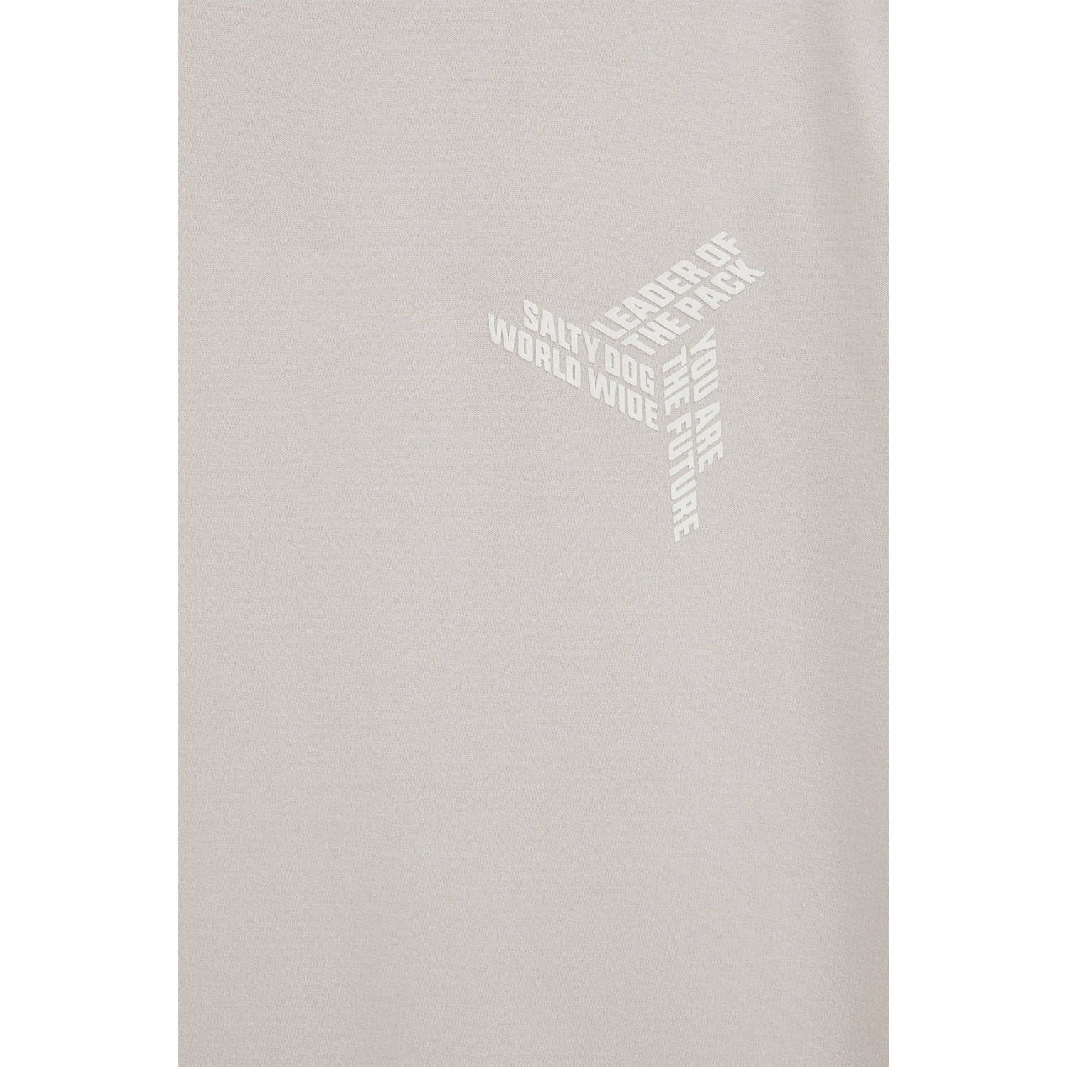 Salty Dog T-shirt met printopdruk beige