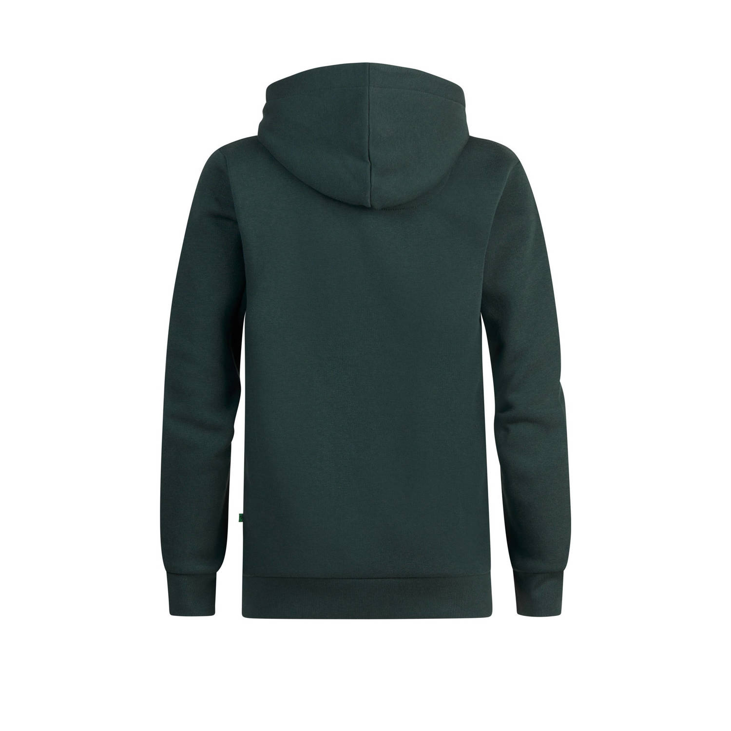 Petrol Industries hoodie groen