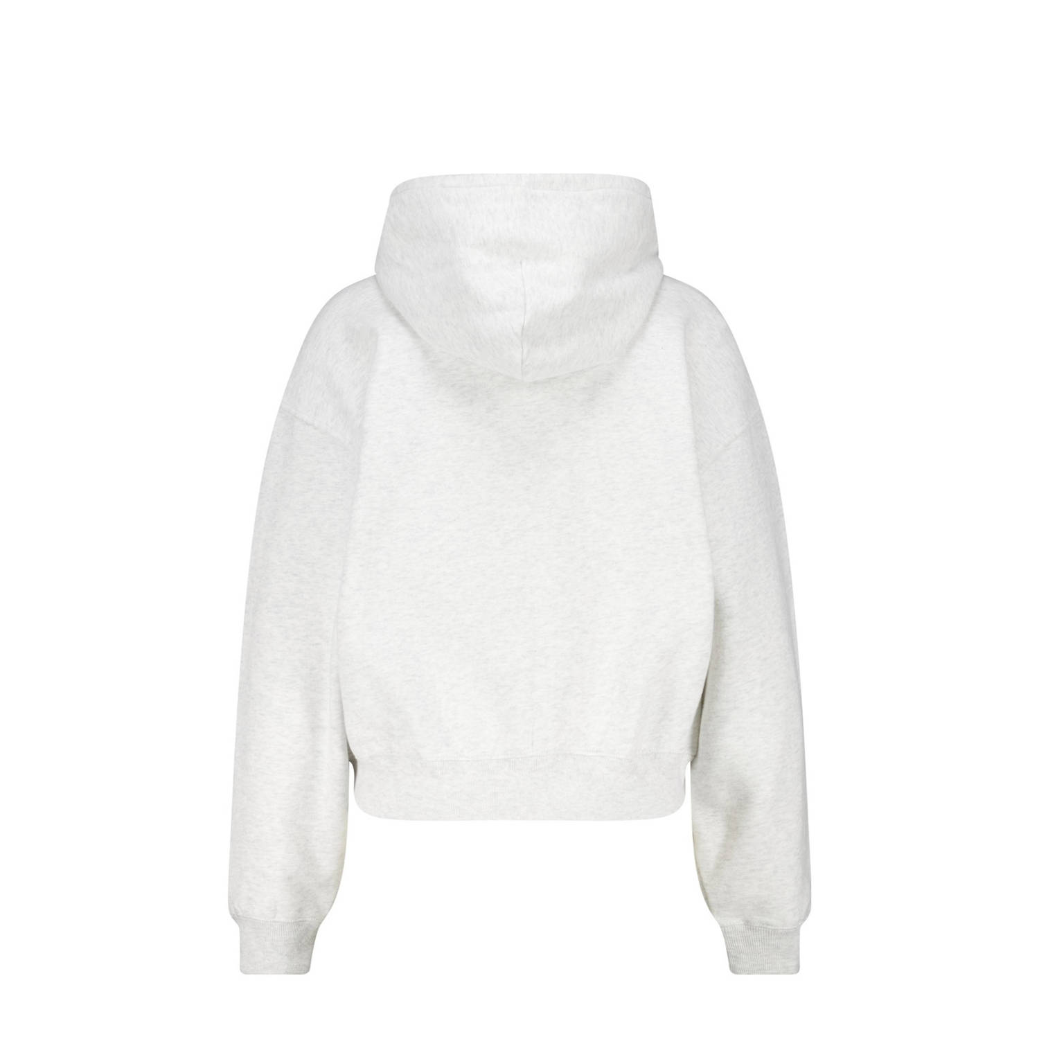 America Today hoodie lichtgrijs