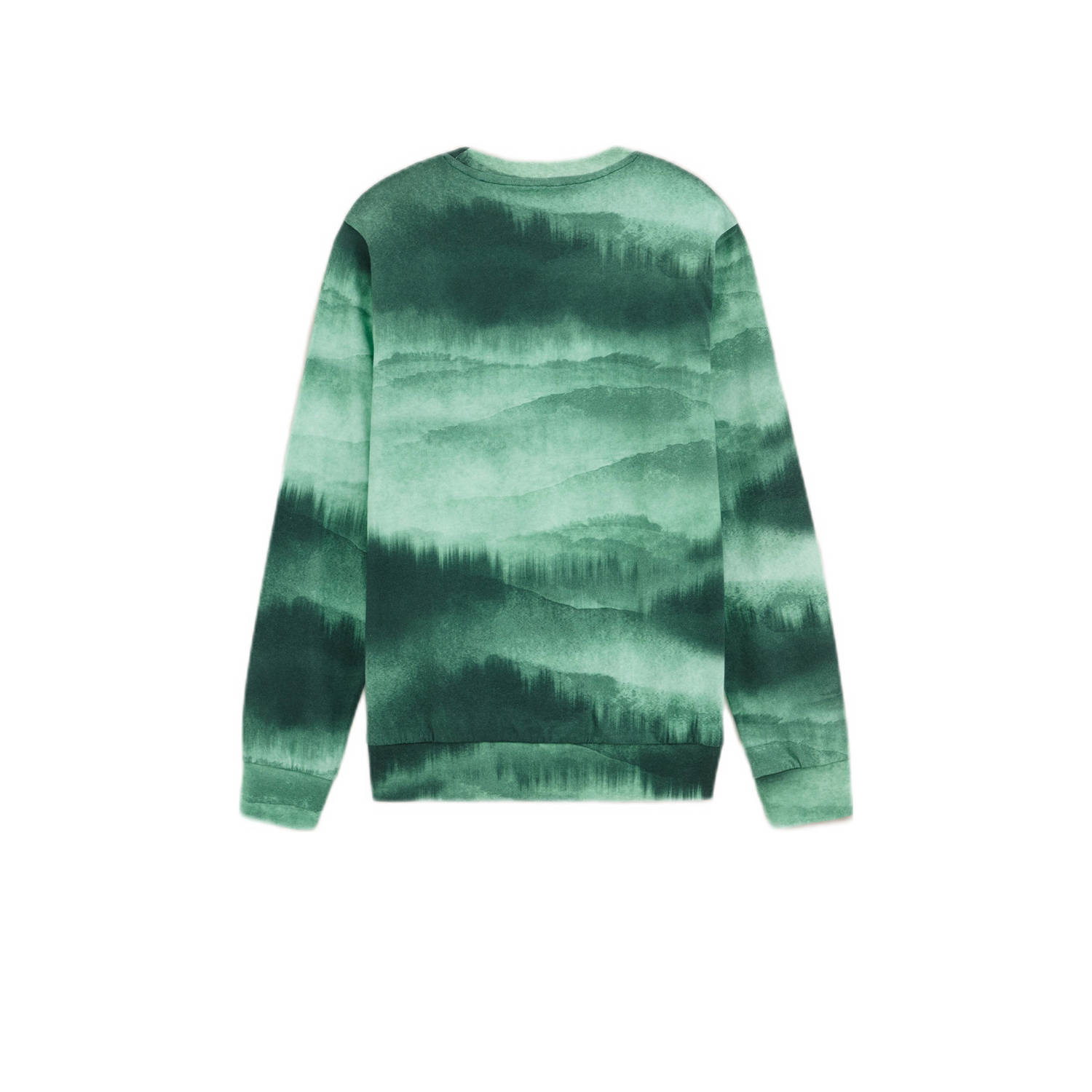 WE Fashion tie-dye longsleeve groen