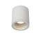 Lucide AVEN - Plafondspot Badkamer - Ø9 cm - 1xGU10 - IP65 - Wit
