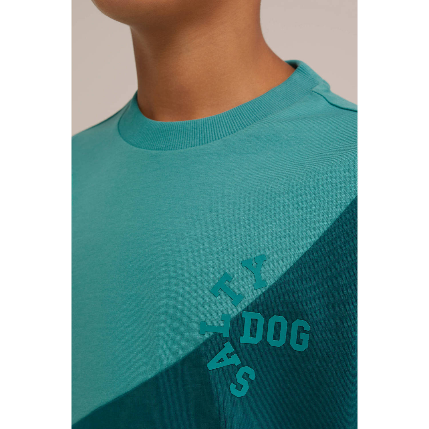 Salty Dog T-shirt groen wit