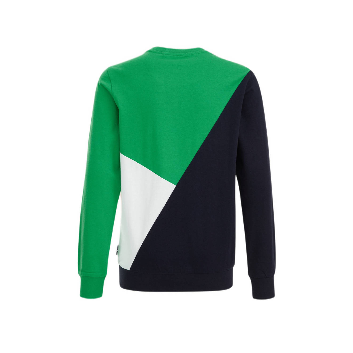 WE Fashion longsleeve groen wit blauw